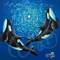 "Dancing with Orcas"